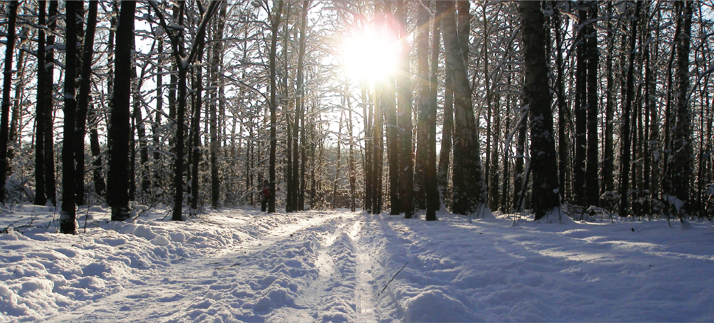 Thumbnail for Little Falls, MN