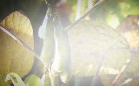 Main Project Photo for Double Project